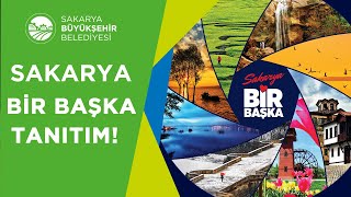 Sapanca'da En Güzel Kahvaltı Adresi